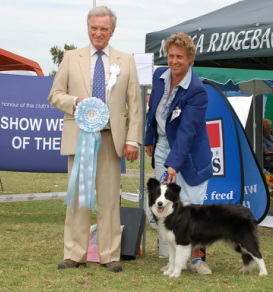 Reserve Puppy in Show