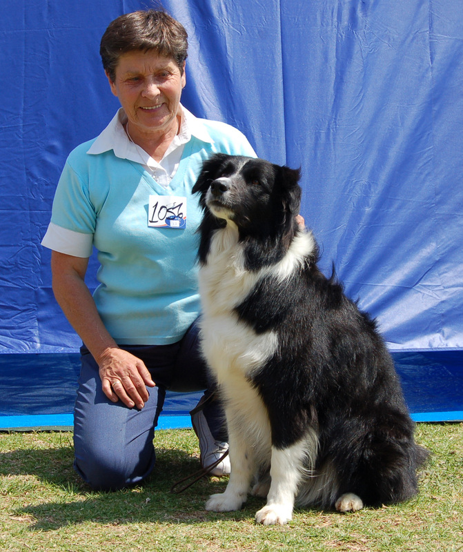 Venron Dream Catcher, South African Obedience Champion with Roberta McCrum