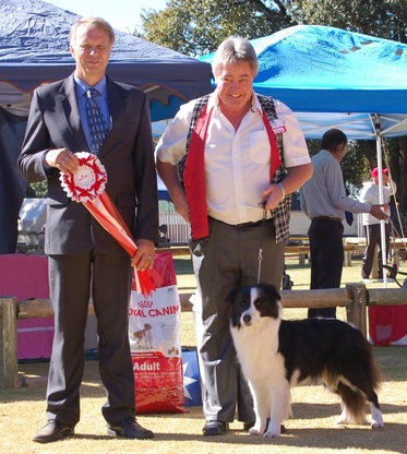 Ch Linbrie Return T Sender of Venron, winner of the Working & Herding Dog of the Year 2013